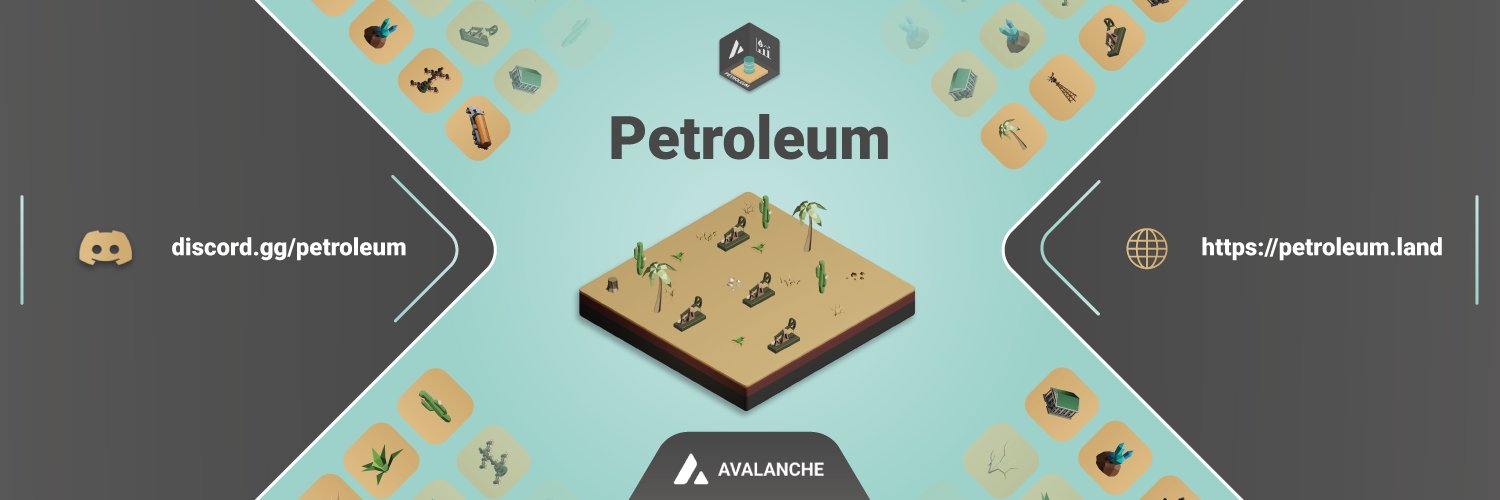 Petroleum Finance